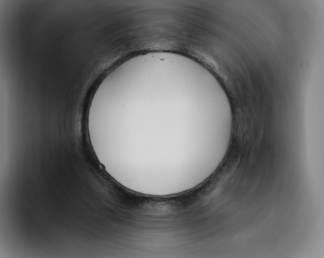 X0000094920299200712271538