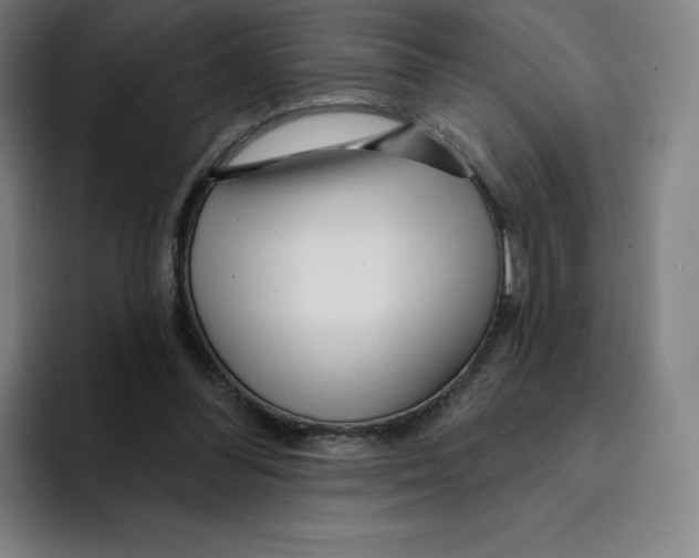 X0000094920300200712271538