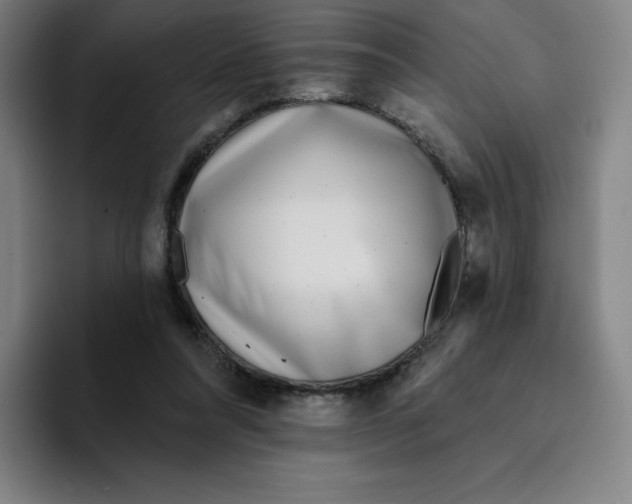 X0000094920304200712271538