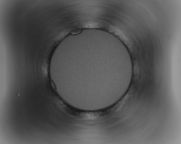 X0000094920305200712271538