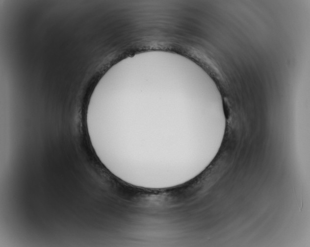 X0000094920306200712271538