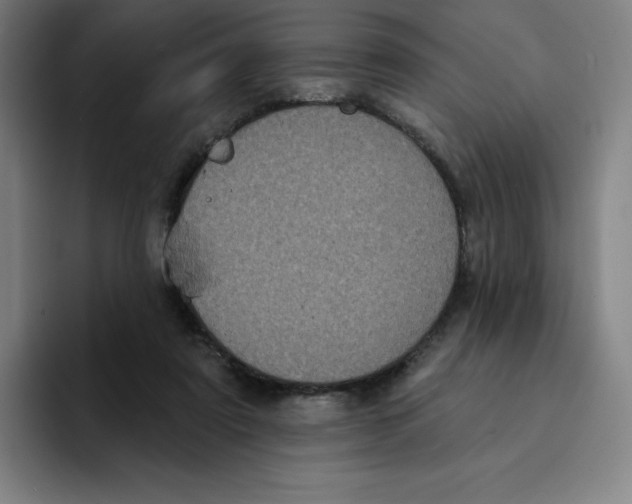 X0000094920307200712271538