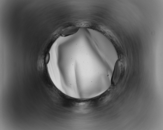 X0000094920312200712271538