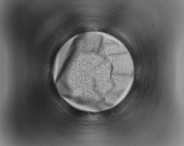 X0000094920314200712271538