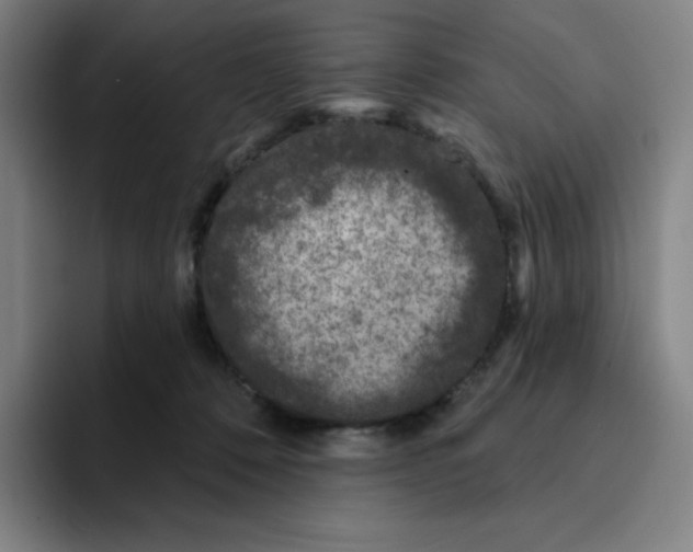 X0000094920320200712271538