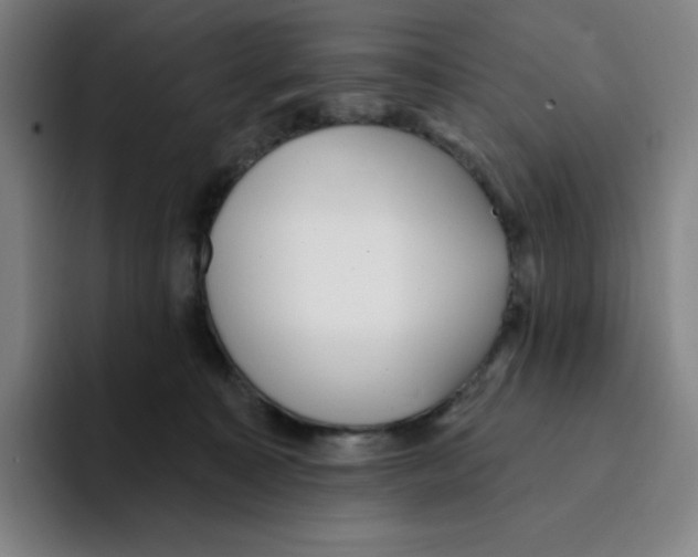 X0000094920323200712271538