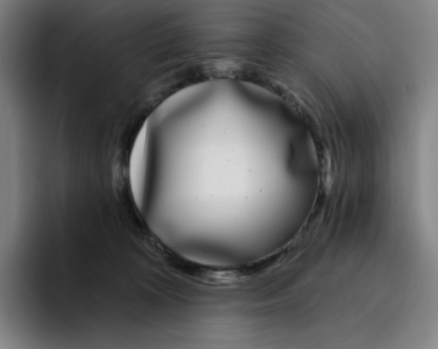 X0000094920324200712271538