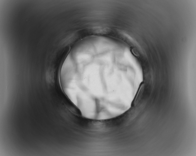 X0000094920325200712271538