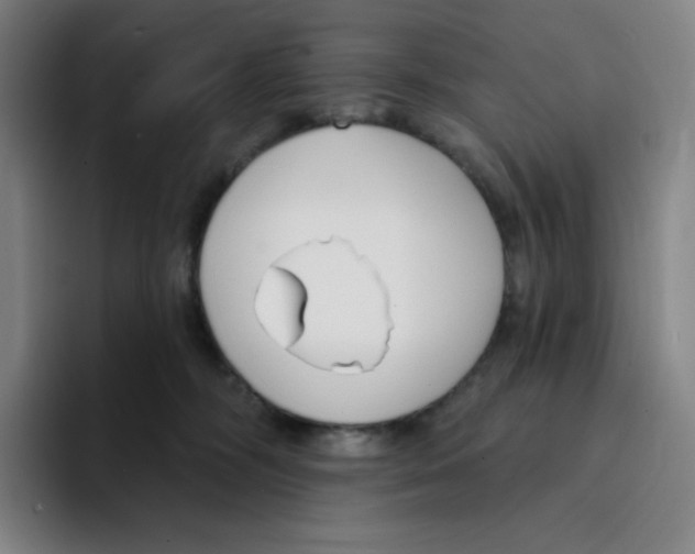 X0000094920326200712271538