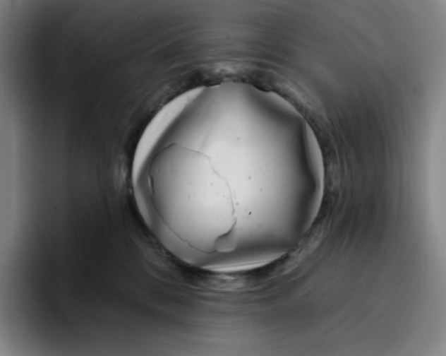 X0000094920328200712271538