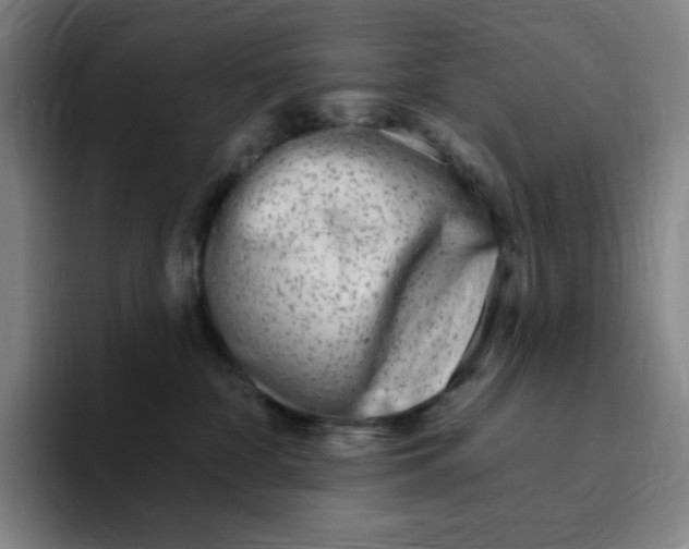 X0000094920332200712271538