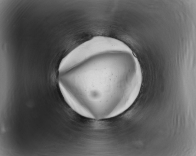 X0000094920336200712271537