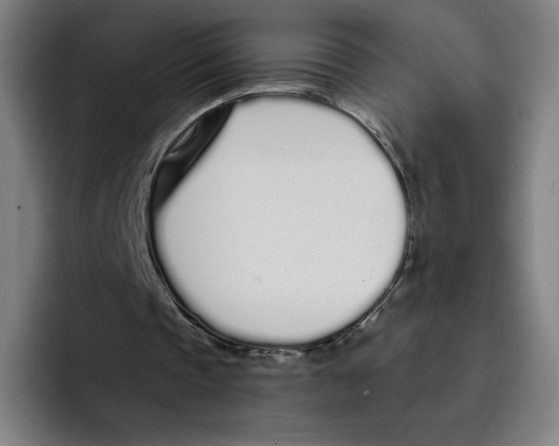 X0000094920337200712271537