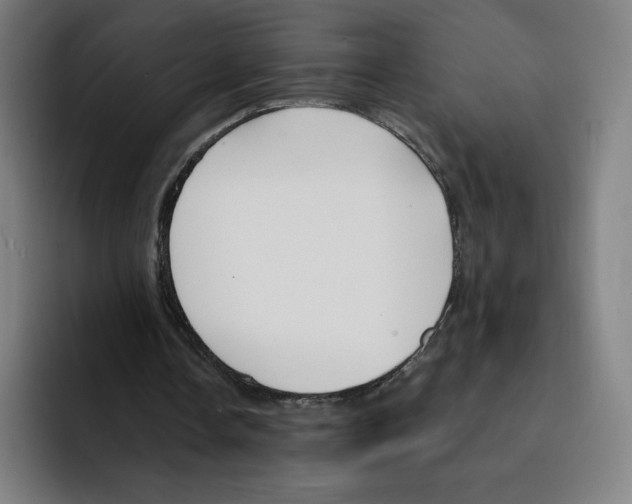 X0000094920338200712271537