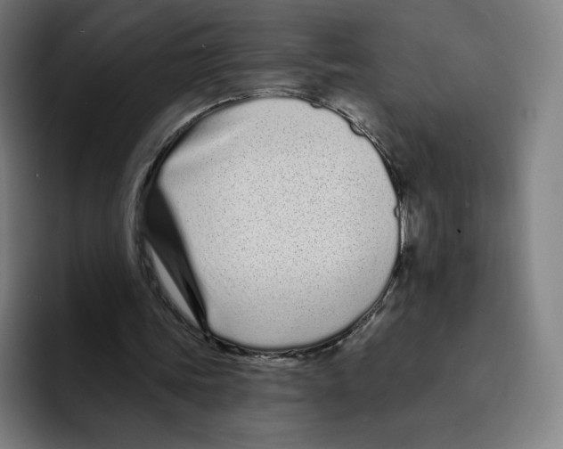 X0000094920339200712271537