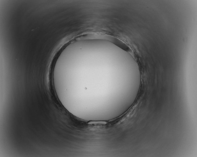 X0000094920340200712271537
