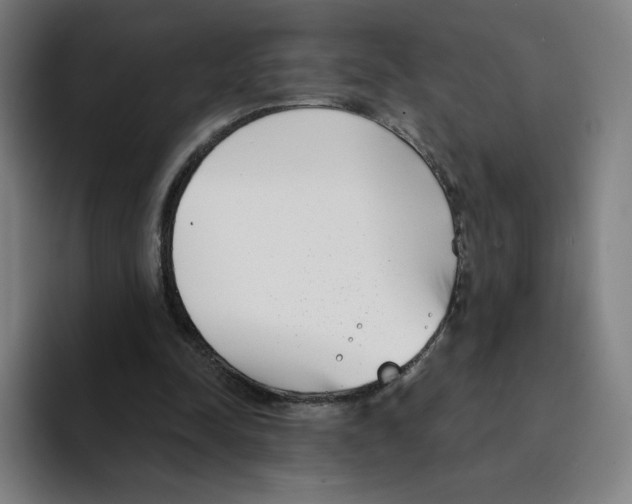 X0000094920342200712271537