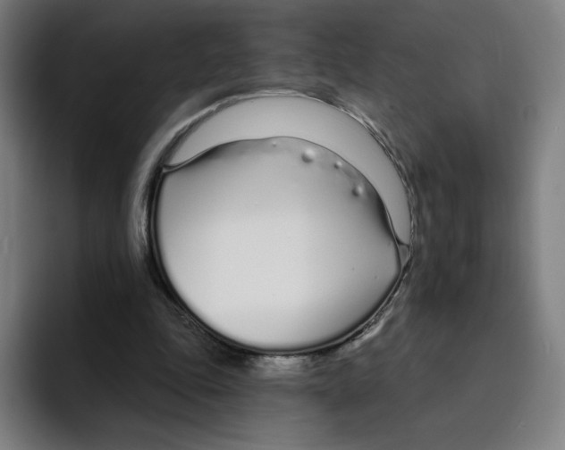 X0000094920343200712271537