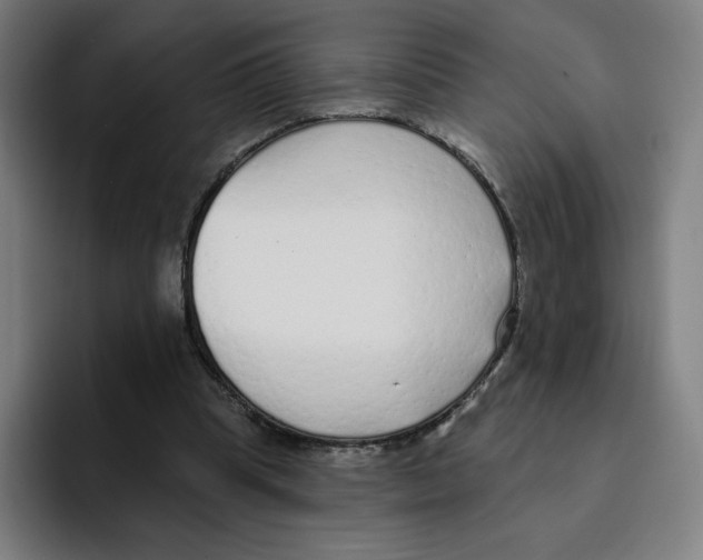 X0000094920345200712271537