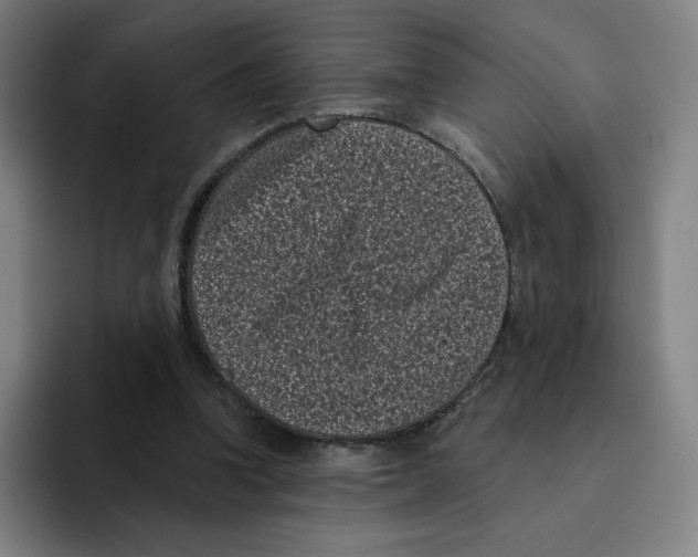 X0000094920346200712271537