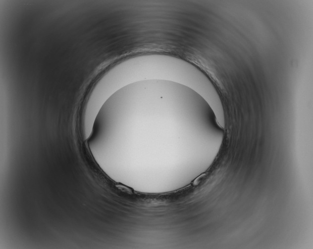 X0000094920348200712271537