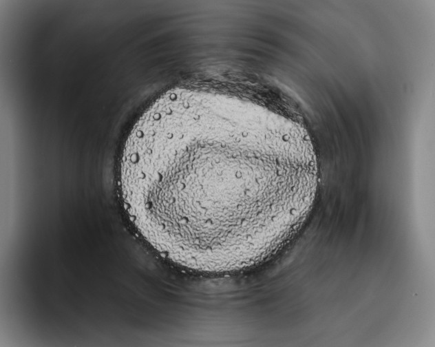 X0000094920353200712271537
