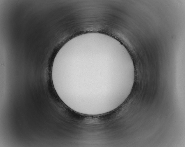 X0000094920354200712271537