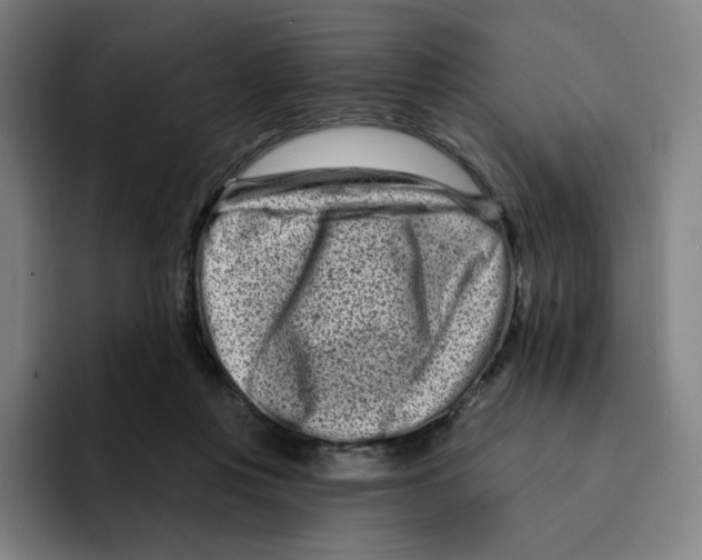X0000094920359200712271537