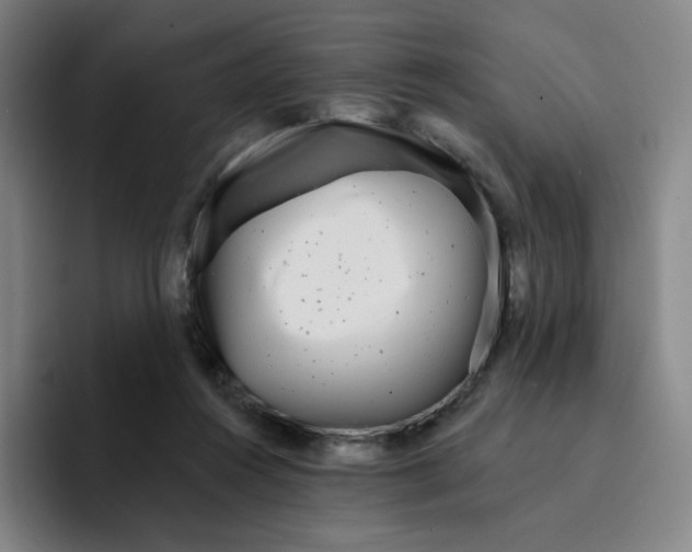X0000094920360200712271537