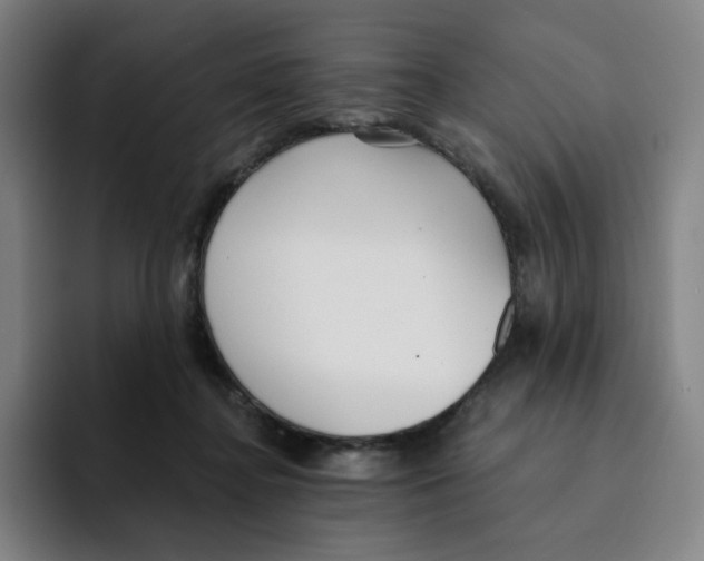 X0000094920364200712271537