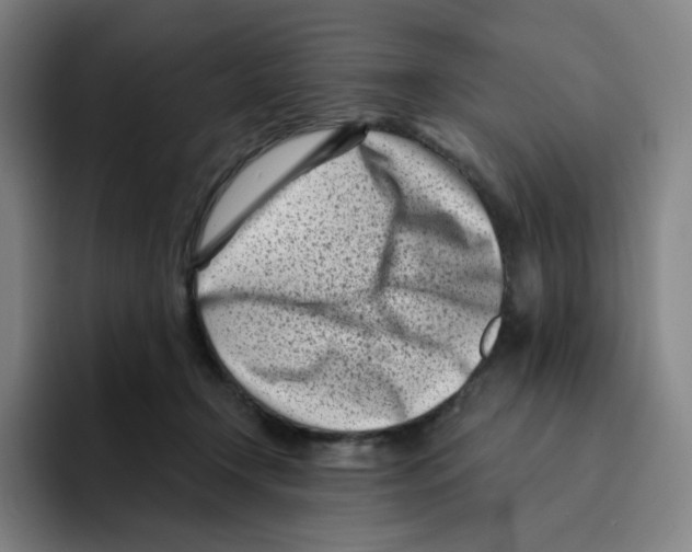 X0000094920366200712271537