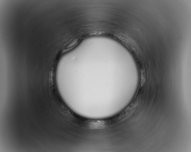 X0000094920369200712271537
