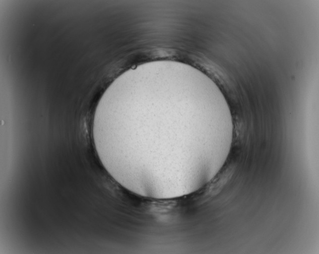 X0000094920373200712271537