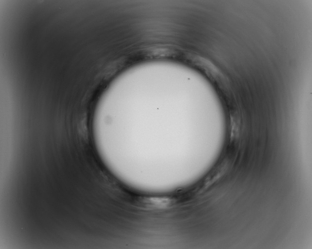 X0000094920377200712271537