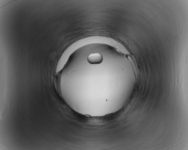 X0000094920380200712271537