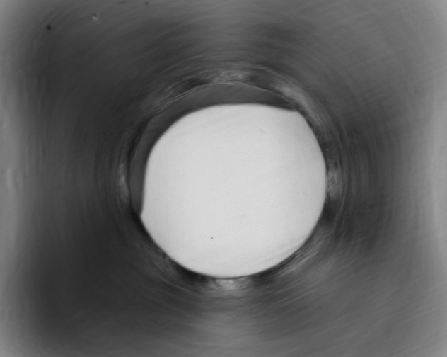 X0000094920381200712271537