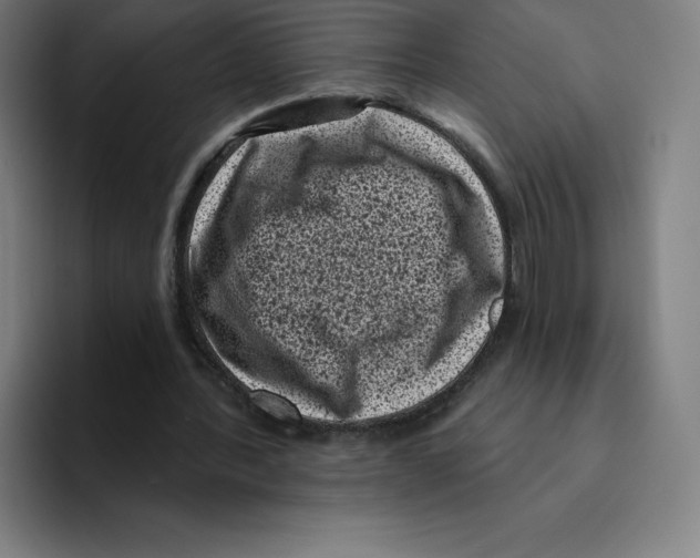 X0000094920388200712271537