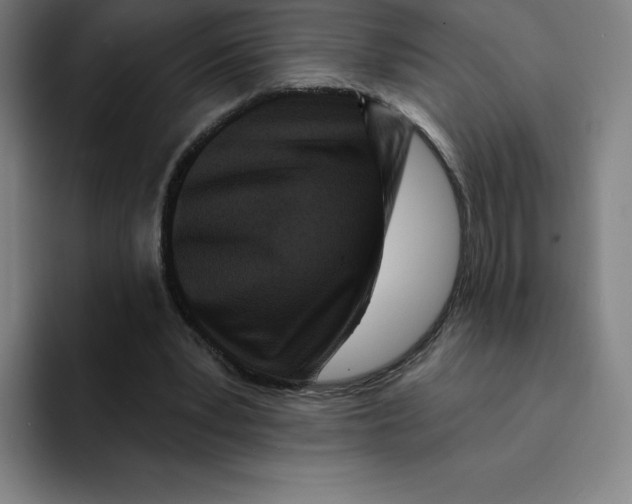 X0000094920391200712271537