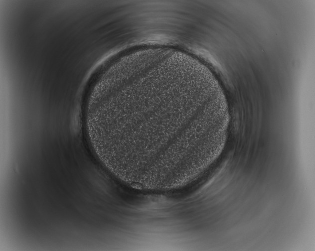 X0000094920392200712271537