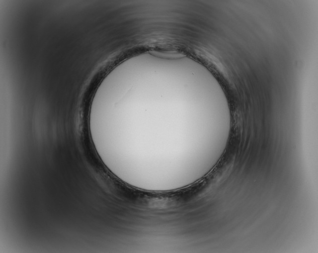 X0000094920400200712271537