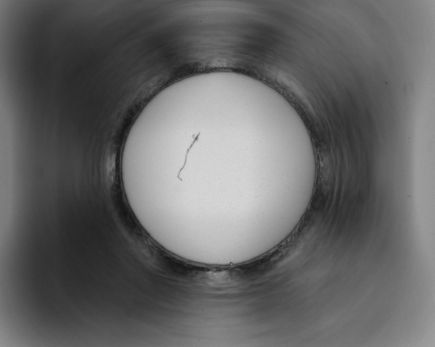 X0000094920406200712271537