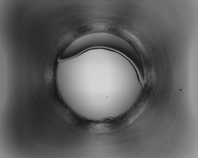 X0000094920407200712271537