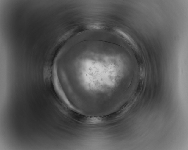 X0000094920409200712271537