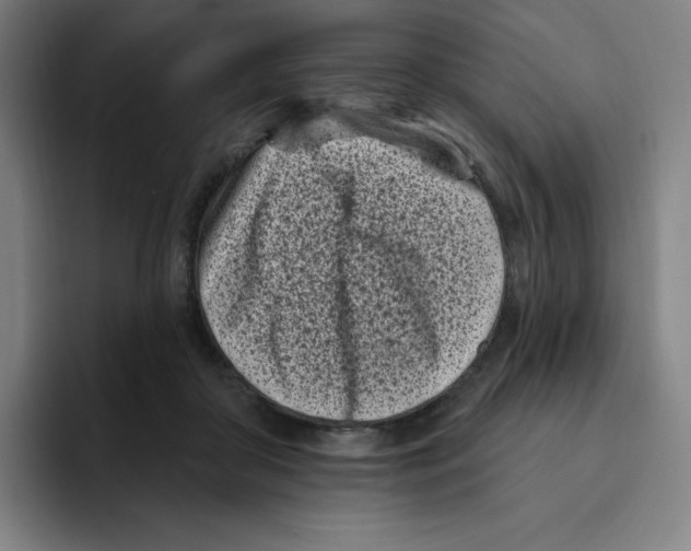 X0000094920410200712271537