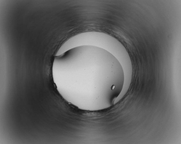 X0000094920417200712271536