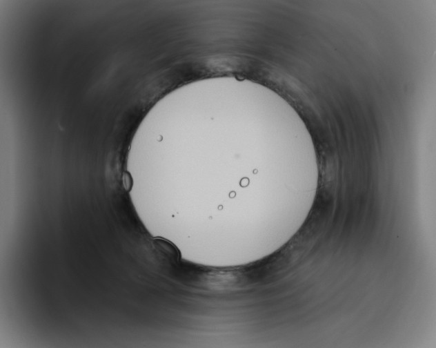 X0000094920418200712271536