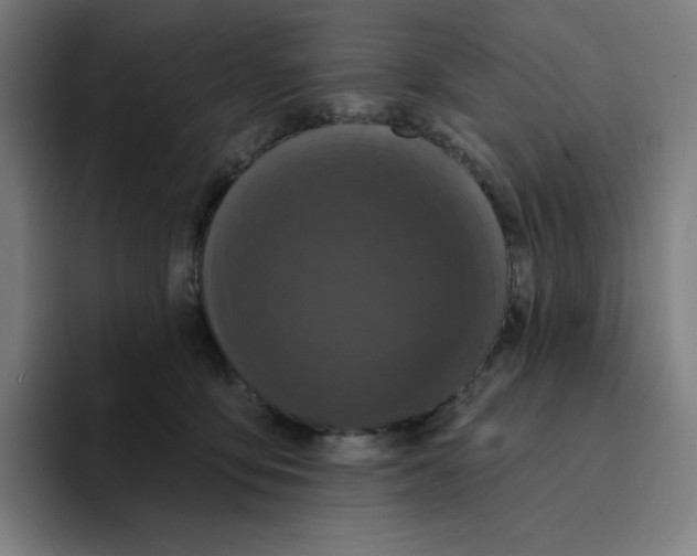 X0000094920419200712271536