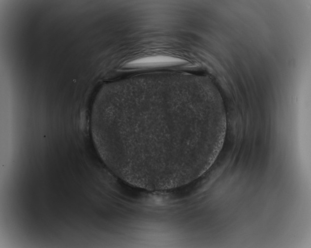 X0000094920420200712271536