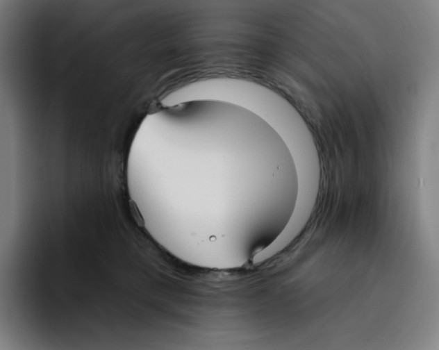 X0000094920421200712271536