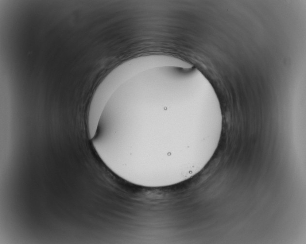 X0000094920423200712271536